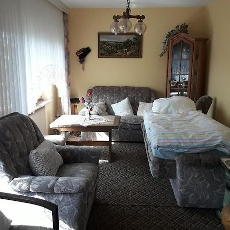 Fewo Mueller Apartment ซาร์ลุย ภายนอก รูปภาพ