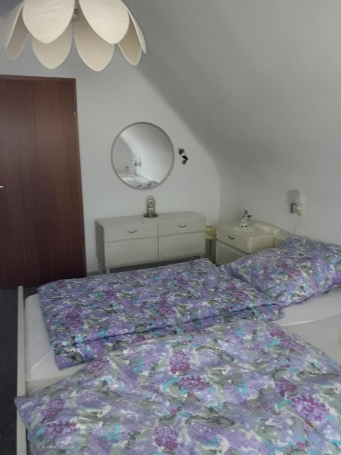 Fewo Mueller Apartment ซาร์ลุย ภายนอก รูปภาพ