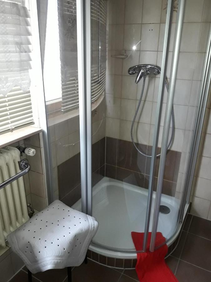 Fewo Mueller Apartment ซาร์ลุย ภายนอก รูปภาพ