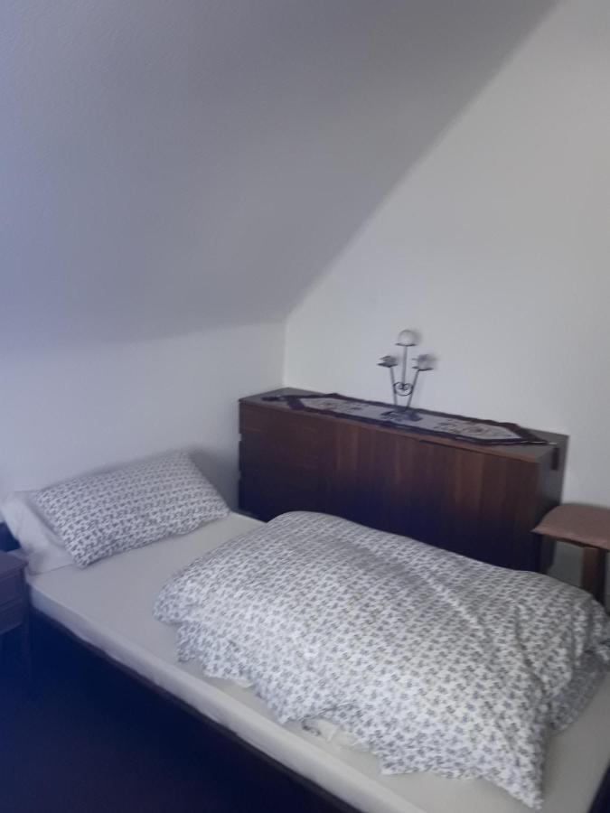 Fewo Mueller Apartment ซาร์ลุย ภายนอก รูปภาพ