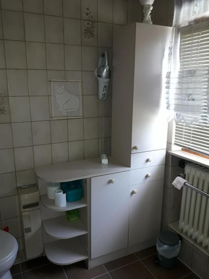 Fewo Mueller Apartment ซาร์ลุย ภายนอก รูปภาพ